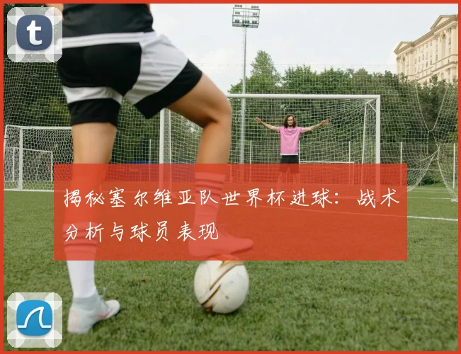 揭秘塞尔维亚队世界杯进球：战术分析与球员表现